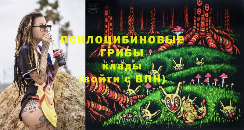 Псилоцибиновые грибы Cubensis  Белорецк 